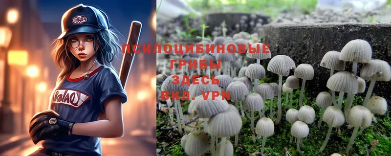 Галлюциногенные грибы Magic Shrooms  Неман 